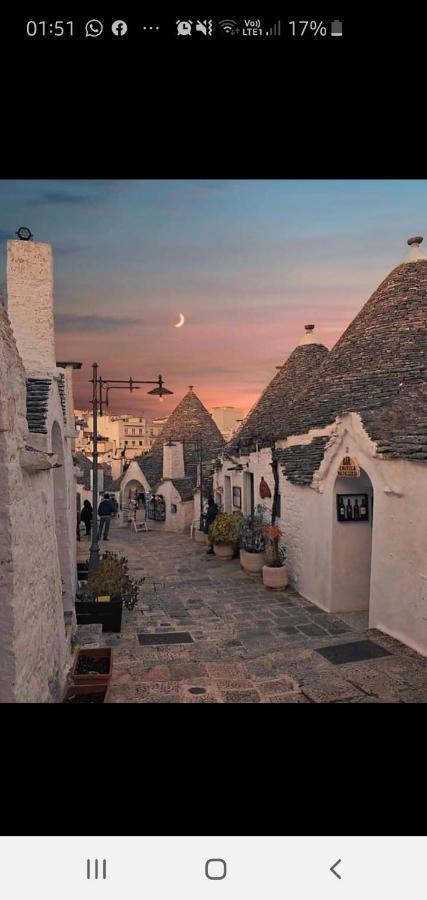 אלברובלו Trulli Selva E Natura Gio'.Ele מראה חיצוני תמונה